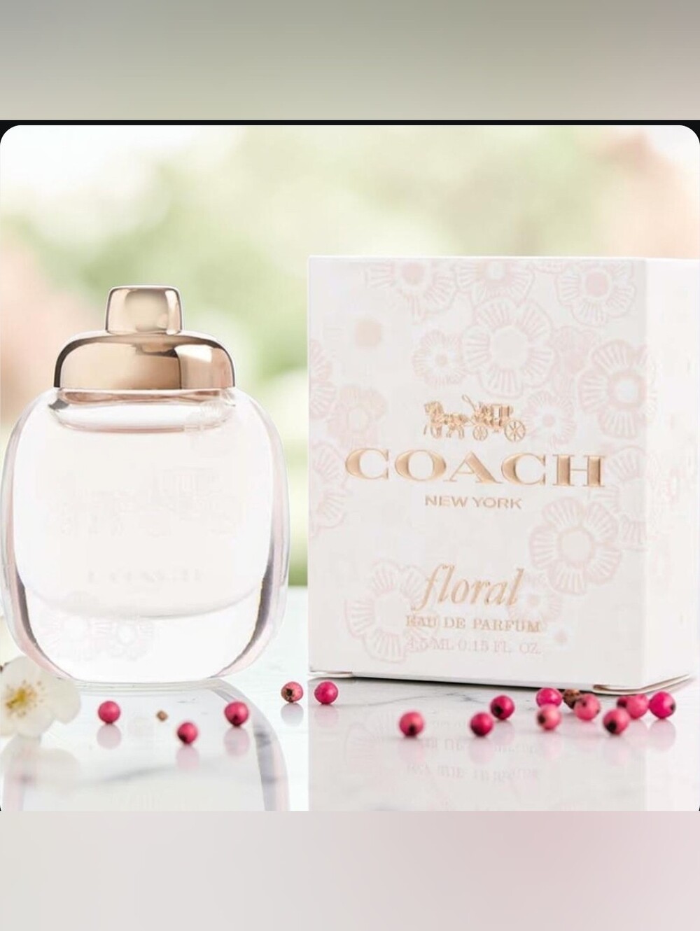 COACH Floral NIB
